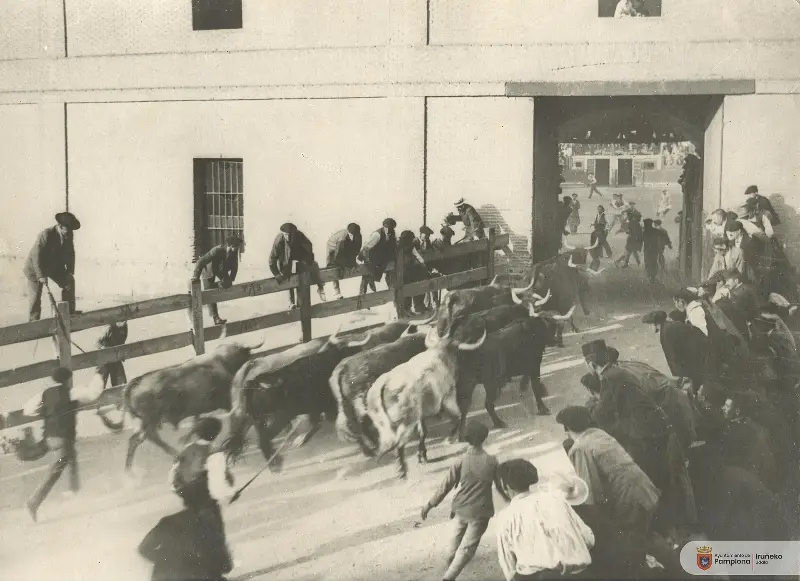 The bulls enter Pamplona's old bullring, 1903.