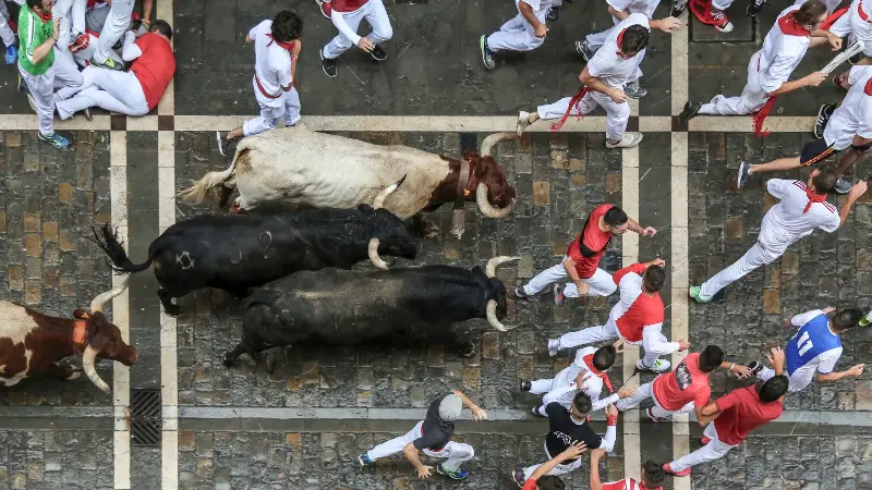 Vista cenital de un toro rodeado de corredores.