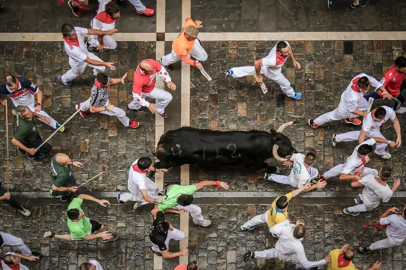 Un toro de lidia entre los corredores, visto desde un balcón sobre el recorrido (2018).
