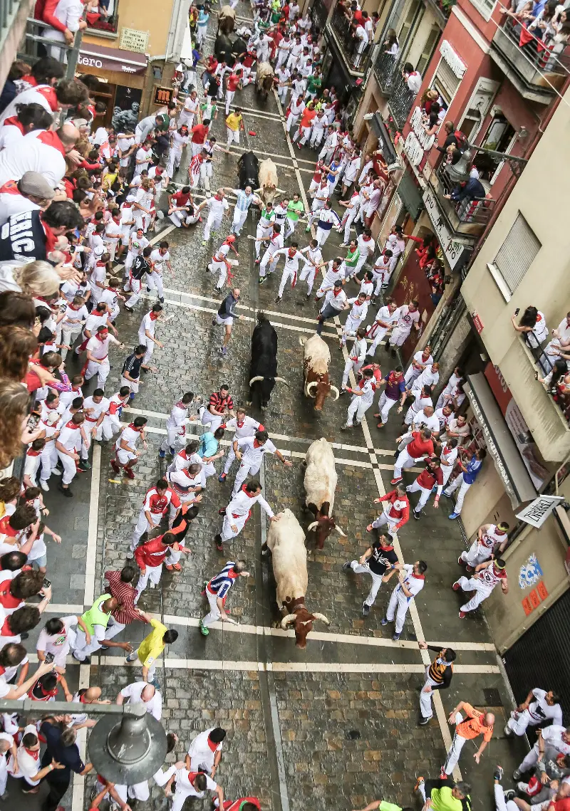 La manada pasa bajo los balcones del Casco Viejo (2018).