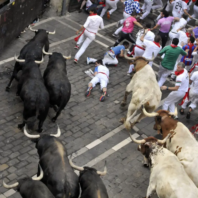 La manada en la curva de Mercaderes, justo antes de entrar en Estafeta (2014).