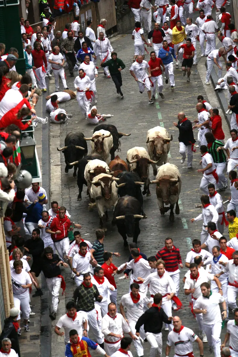 La manada sube Santo Domingo en punta de flecha, San Fermín 2011.