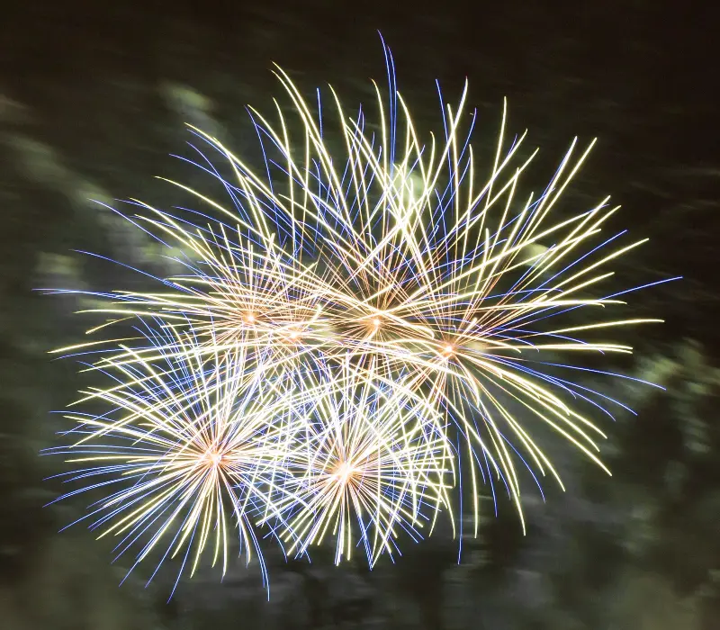 Close-up of a firework bursting over the city (2018).