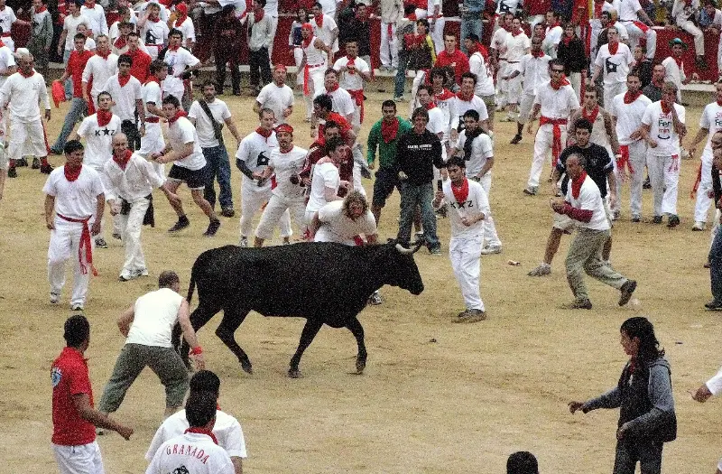 Bullring & vaquillas