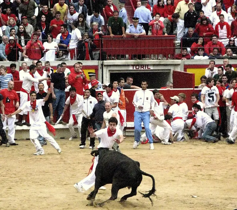 El ruedo se llena de corredores para las vaquillas tras el encierro (2007).