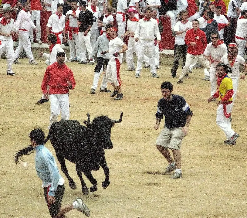 Corredores esquivan una vaquilla en el ruedo (2007).